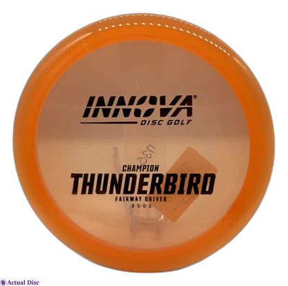 Champion Thunderbird